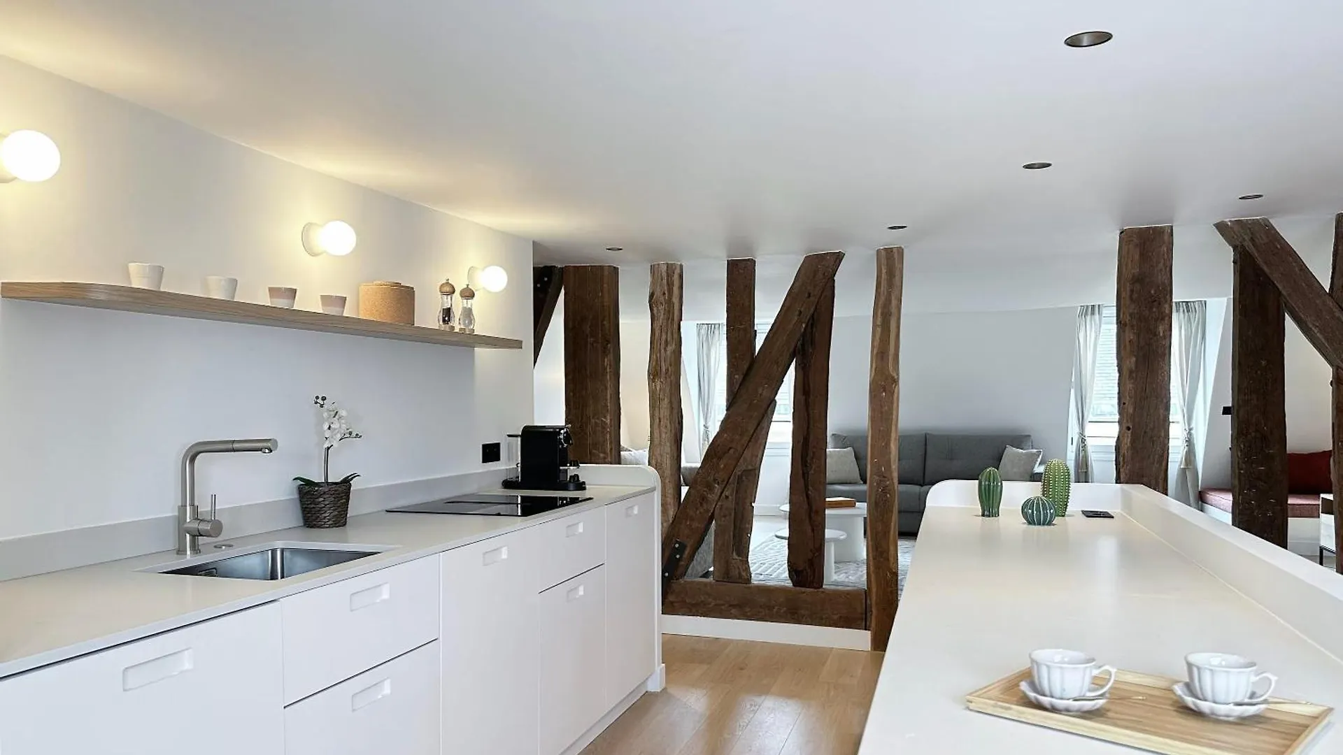 Spacious & Luxurious Apartment Paris